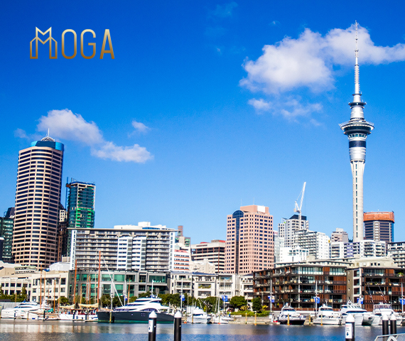 MOGA International Has Obtained a New Zealand FSP License to Increase Trading Diversity